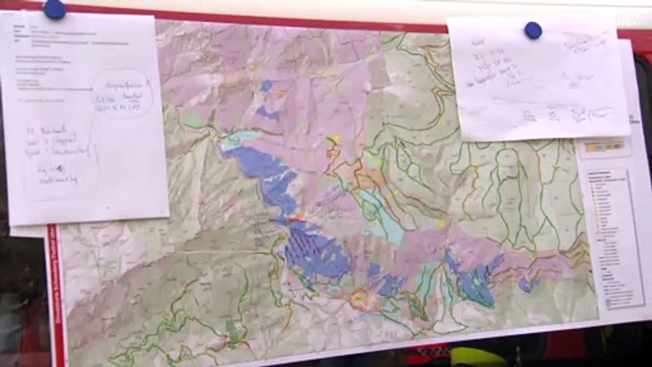 Auf 115 Hektar - Waldbrand verschlingt Vegetation in Niederösterreich