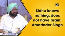 Sidhu knows nothing, does not have brain: Amarinder Singh