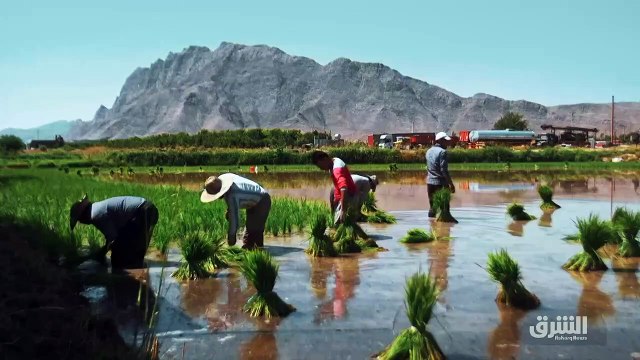 ...شرق غرب مستمر معكم وفيها بعد الفاصل...