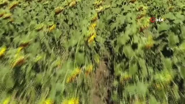 Belediye kendi ürettiği ürünleri ihtiyaç sahiplerine dağıtıyor