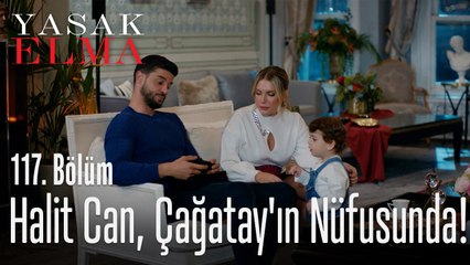 Halit Can artık Çağatay'ın nüfusunda! - Yasak Elma 117. Bölüm