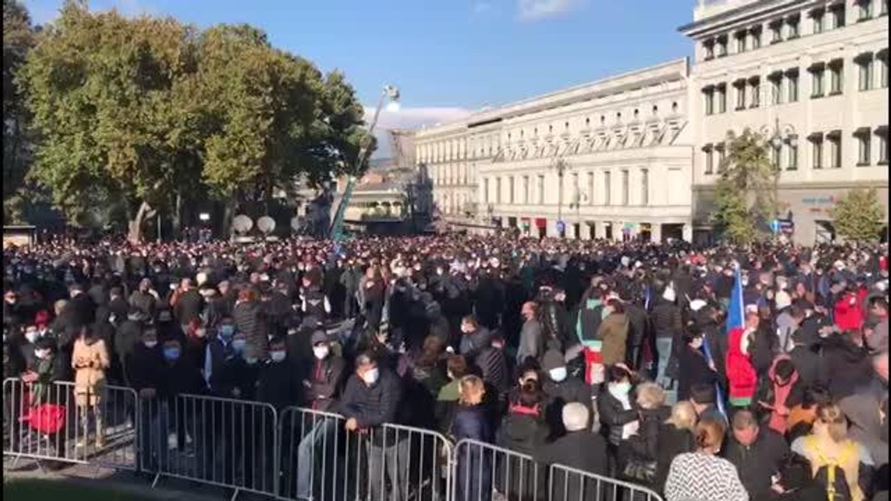 Gürcistan'da iktidar partisine destek mitingi