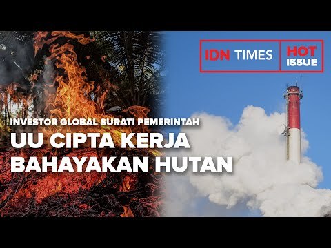 INVESTOR GLOBAL SURATI PEMERINTAH SOAL UU CIPTA KERJA BAHAYAKAN HUTAN