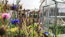 Bruxelles : un jardin sur les toits pour renforcer l'autonomie alimentaire