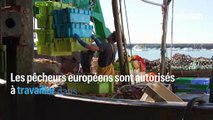 Licence de pêches post-Brexit : le gouvernement français veut sanctionner l’Angleterre