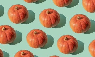 Canned Pumpkin Actually Is Pumpkin, but Not the Kind You Carve