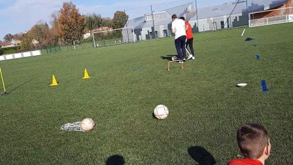 STAGE / SENSIBILISATION AU CECIFOOT 5/6 (25/10)