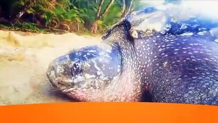 02: Headlines with Fazeer: 06 August, 2021