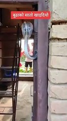 Mieux qu'une sonnette, le cobra à la porte