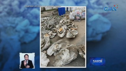 Nasa 7,000 kilo ng taklobo na endangered species na, nasamsam | Saksi