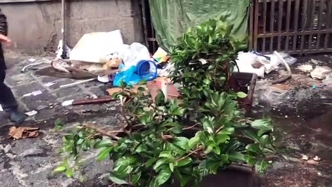 Maltempo, l'attrice Barbara Foria: "Tifo per Catania, mia seconda città che si riprenderà"