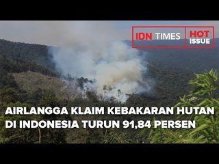 AIRLANGGA KLAIM KEBAKARAN HUTAN DI INDONESIA TURUN 91,84 PERSEN