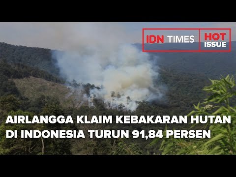 AIRLANGGA KLAIM KEBAKARAN HUTAN DI INDONESIA TURUN 91,84 PERSEN