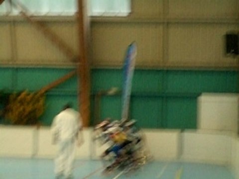 indoor chapelle/erdre (france) - poussine