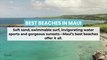 Best Beaches in Maui
