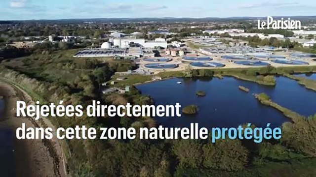 Des millions de litres d’eaux usées, polluées déversée dans une zone naturelle protégée