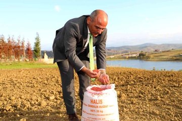 300 çiftçiye 30 ton tohum desteği