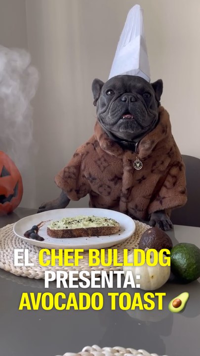 El chef Bulldog presenta: avocado toast