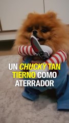 Un Chucky tan tierno como aterrador