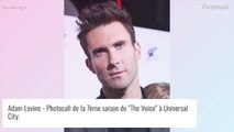 Adam Levine repousse méchamment une fan en plein concert, il s'explique après la polémique