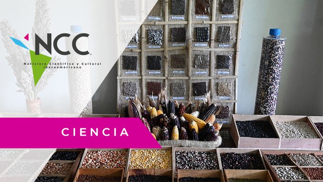 El Salvador tiene su arca de Noé para conservar semillas nativas