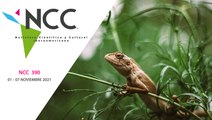 Noticiero Científico y Cultural Iberoamericano, emisión 390. 1 al 7 de noviembre de 2021