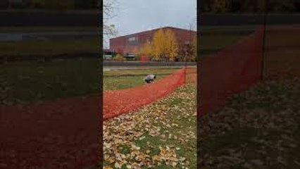 Waldo the Boston Terrier Has Mad Hops