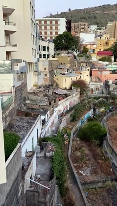 Dos gallos mantienen en vilo a los vecinos de Los Lavaderos