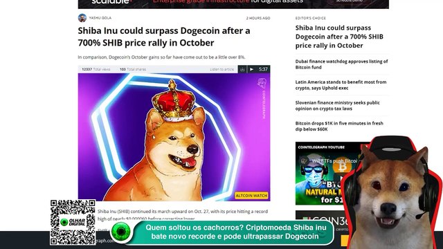 Quem soltou os cachorros Criptomoeda Shiba inu bate novo recorde e pode ultrapassar Dogecoin