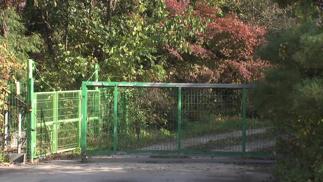 [단독] 한류스타도 투자 피해·유명 개그맨이 영업...2,500억대 기획부동산 사기 / YTN