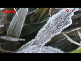Blanket Of Frost Covers Similipal Tiger Reserve In Odisha