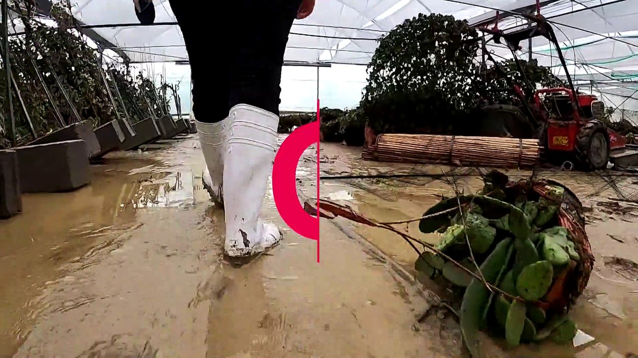 Italien: Starkregen sorgt für Überschwemmungen