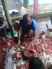 See how to cut fish. Hands are like machines!