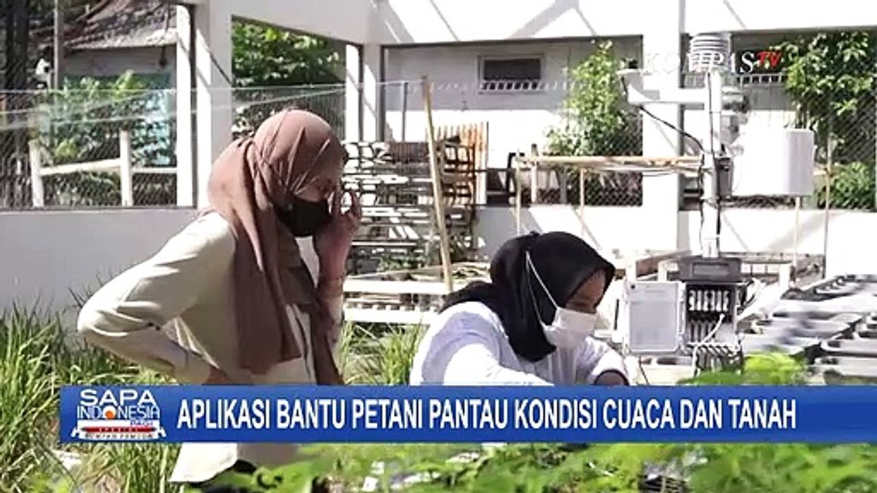 Karya dan Inovasi Pemuda Pemudi Indonesia Hingg...