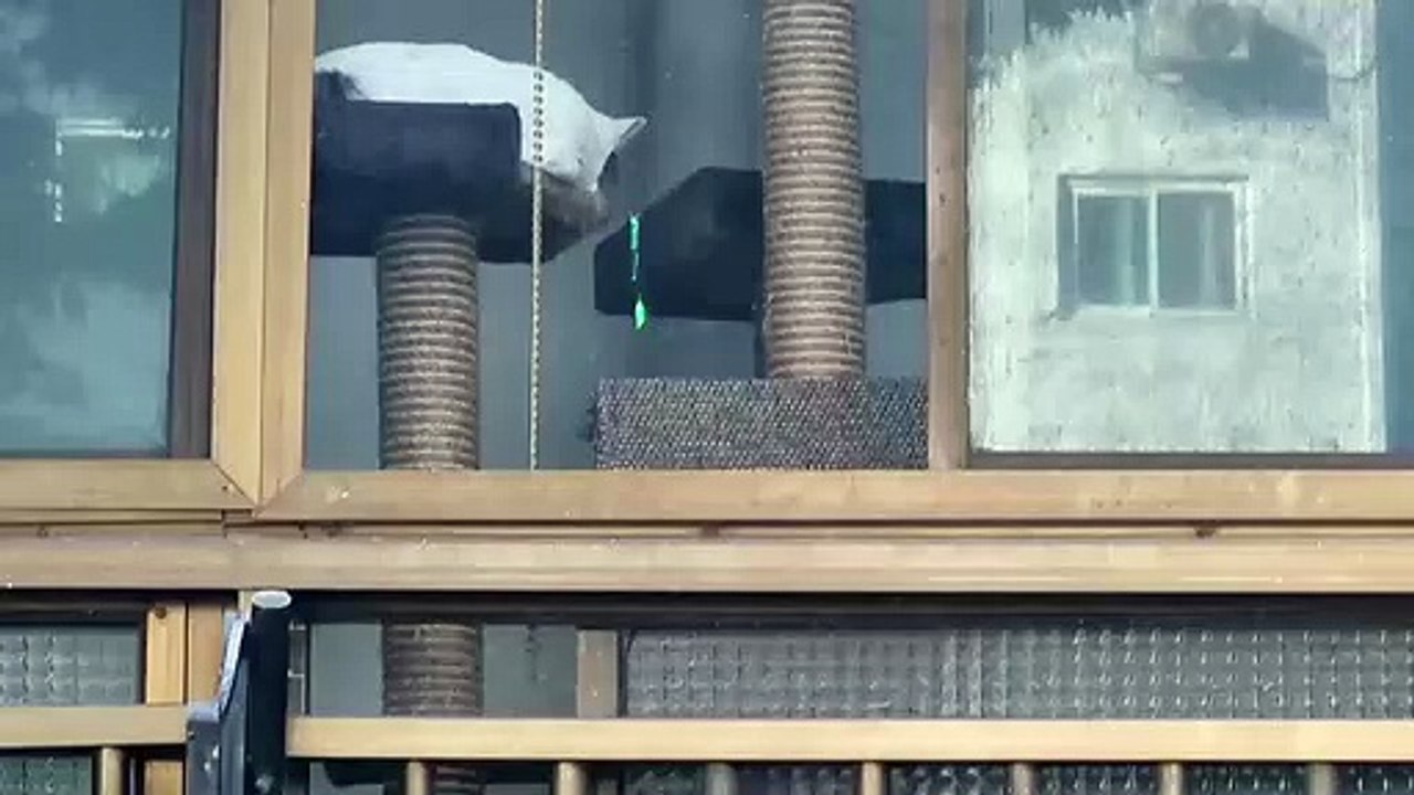 うるさいから起きた