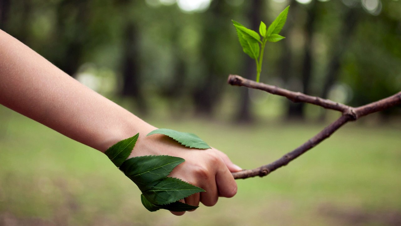 Cómo mantener en los niños la sensibilidad por la naturaleza)