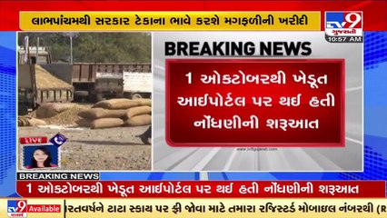 Gujarat govt to begin groundnut procurement at MSP from Labh Pancham _ TV9News