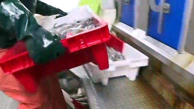 Még mindig a halászaton vitáznak a franciák és a brtitek