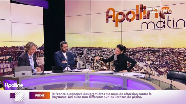 Nicolas Poincaré : Les projets terroristes du complotiste Rémy Daillet - 28/10