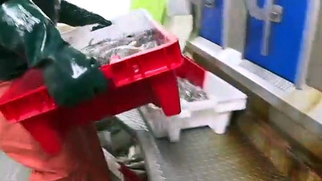 Ultimátum de Francia al Reino Unido por las licencias de pesca en el Canal de la Mancha