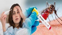 Dengue Fever खतरनाक कब होता है ? Dengue Fever Khatarnaak kab hota hai ? | Boldsky
