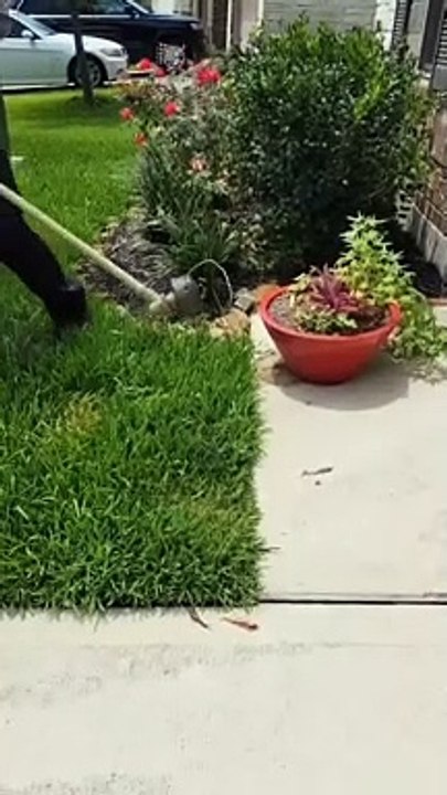 How to cut nature grass