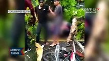 Pengendara Tewas Tertimpa Pohon Tumbang