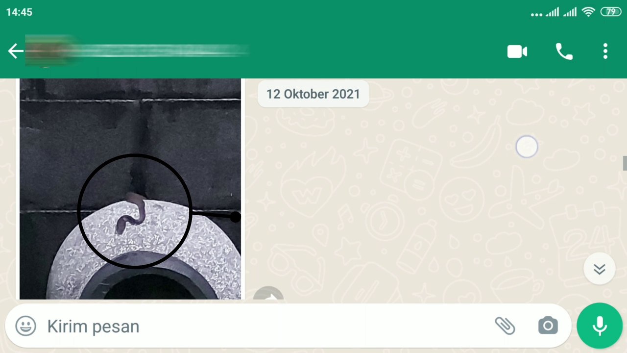 Rescue Ular Siput di Dalam Rumah