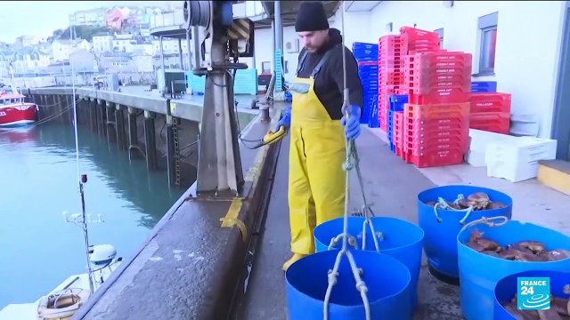 Un an après le Brexit, la pêche reste une pomme de discorde entre Paris et Londres