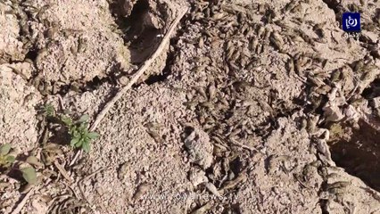 بالفيديو.. سد الوالة كما لم تشاهدوه من قبل