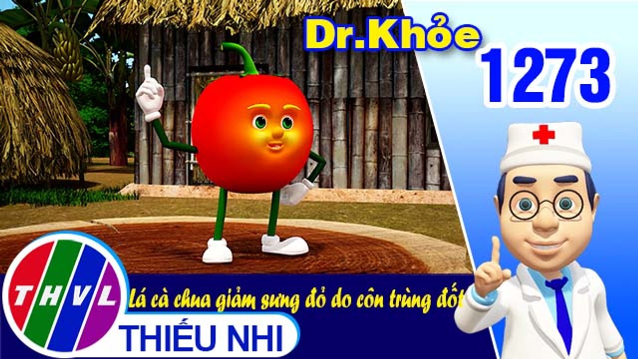 Dr. Khỏe - Tập 1273: Lá cà chua giảm sưng đỏ do côn trùng đốt