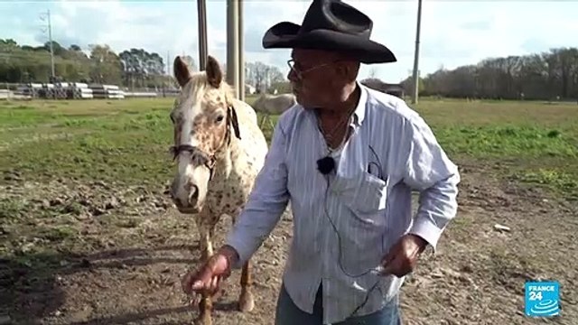 International Creole Day: In Louisiana, Cajuns are keen to preserve their identity