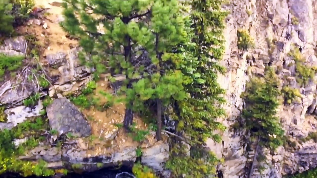 Relaxing music with Ocean Waves Beautiful sleep & piano Music, stress relief, wave sounds ll