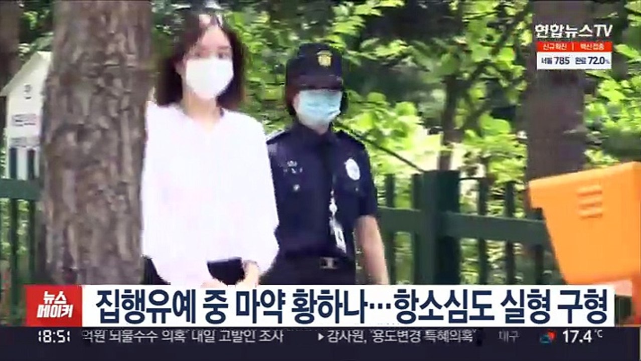 집행유예 중 마약 황하나…항소심도 실형 구형